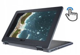 Asus Chromebook C204E